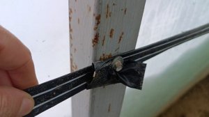 Теплица в теплице, мой вариант.