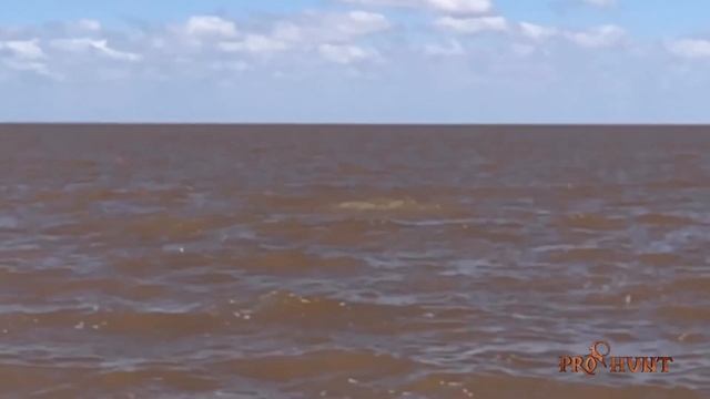 Рыбалка казахов в Аргентине . Ловим золотого Дорадо!