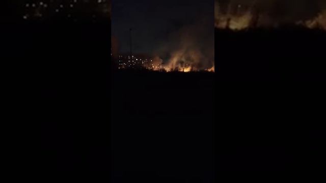 Пожары у улицы Левитана в Калининграде смотреть онлайн