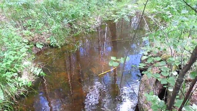 Источник реки Миасс "Нурали" смотреть онлайн