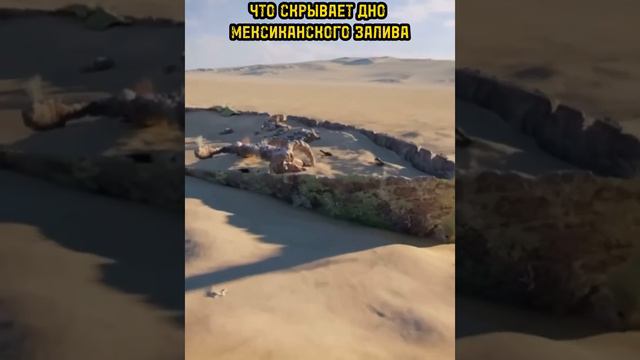 Вы будете поражены тем, что скрывает дно Мексиканского залива смотреть онлайн