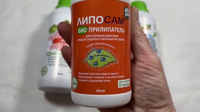 Что нужно запасти для выращивания рассады смотреть онлайн