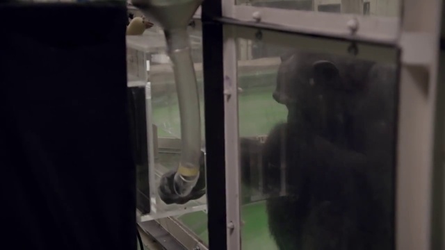 S03E01 смотреть онлайн