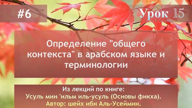 Определение "общего контекста" в арабском языке и терминологии. смотреть онлайн
