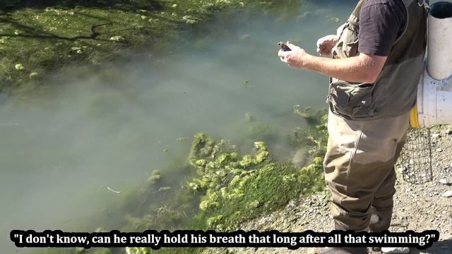 Boon the Greatest Muskrat Hunter of Them All! смотреть онлайн