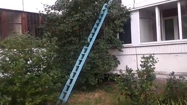 Лесенка для кота на балкон второго этажа смотреть онлайн