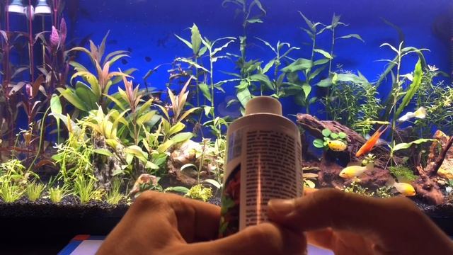 SEACHEM FLOURISH ADVANCE İLE İLGİLİ HER ŞEY! смотреть онлайн