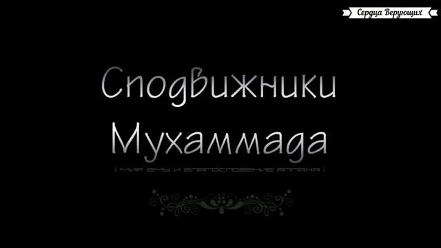 Истории сподвижников Адии ибн Хатим а’Таи смотреть онлайн