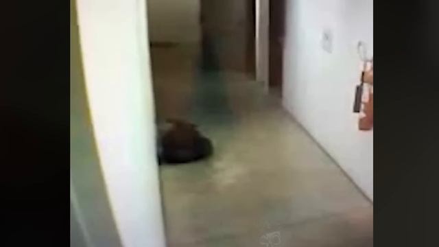 The Scariest AND Mysterious Sightings Caught On Video смотреть онлайн