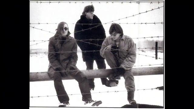 Егор Летов - Зоопарк (guitar cover) смотреть онлайн