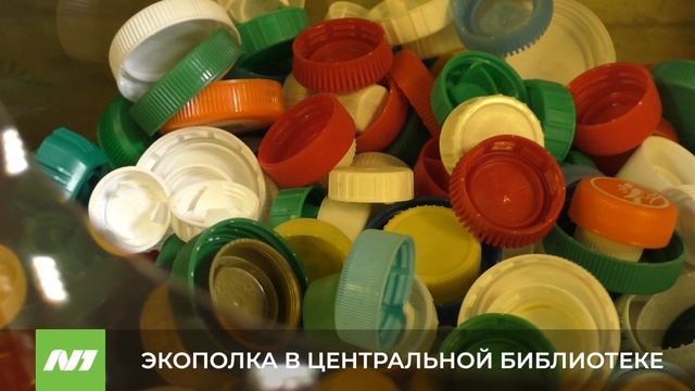 ЭКОПОЛКА В ЦЕНТРАЛЬНОЙ БИБЛИОТЕКЕ смотреть онлайн