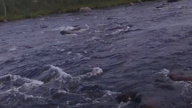 Многодневная РЫБАЛКА. ЖОР КУМЖИ / Multi-day FISHING. Active TROUT (part 3) смотреть онлайн