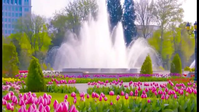 Назаров Зафар (Суруди Ватан)