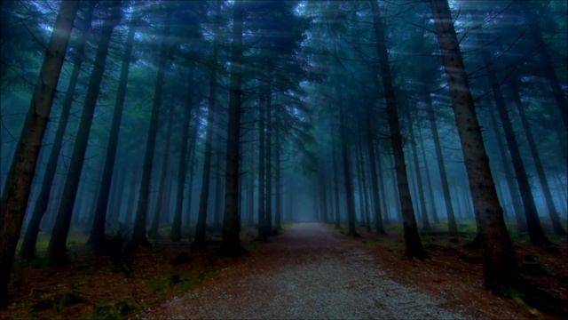 "Midsummer Madness" Guided Meditation - A Journey of Forgotten Memories смотреть онлайн