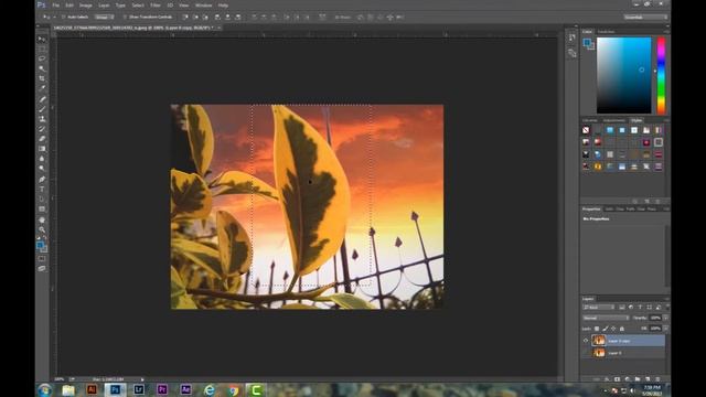 rectangular marquee tool photoshop cc смотреть онлайн