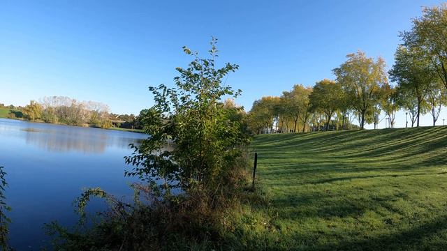 Uzbek Instrumental - Skripka смотреть онлайн