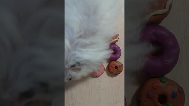 Как сделать пончик с рисунком из сливок из пластилина смотреть онлайн