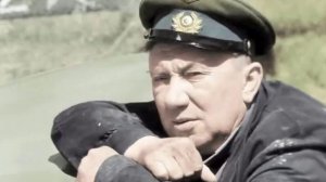 Раскудрявый клен зеленый, лист резной.