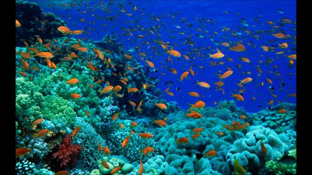 Аудиобиблия. Деяния святых апостолов. Глава 8 смотреть онлайн