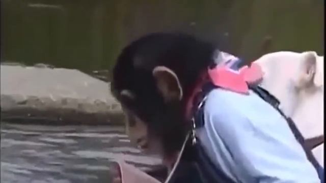 В. Высоцкий – «Песня о друге». смотреть онлайн