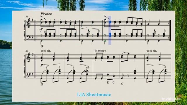 Ungarischer Tanz Nr.5_Hungarian Dance No.5_Johannes Brahms (accordion) смотреть онлайн