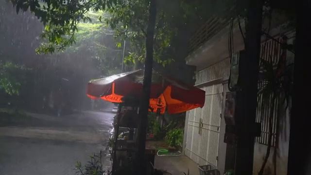 Sleep Instantly Within 3 Minutes with Heavy Rain & Thunder on Ancient House in Foggy Forest at Nigh смотреть онлайн
