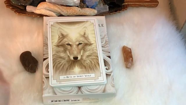 The White Light Oracle Full Flip Through No Talking смотреть онлайн