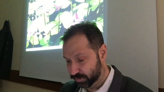 Теория медия. Предмет media studies смотреть онлайн