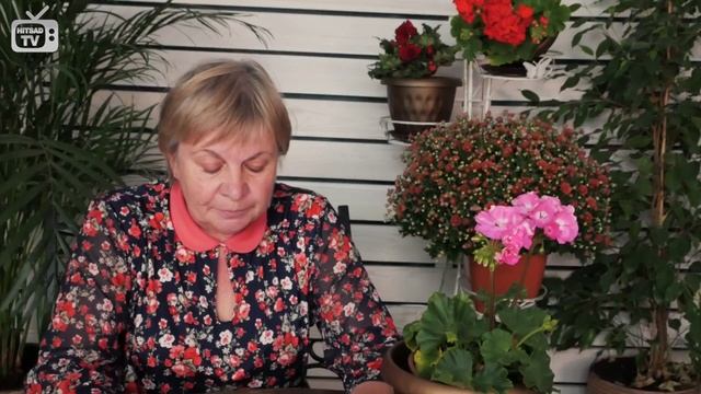 Борная кислота - Удобрения и микроэлементы ? Полезные советы про сад и огород от Хитсад смотреть онлайн