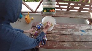 Весенняя обработка сада во время и после цветения, опрыскивание от вредителей и болезней