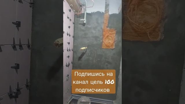 котельная своими руками#рекомендации #стройка #ремонт #работа смотреть онлайн