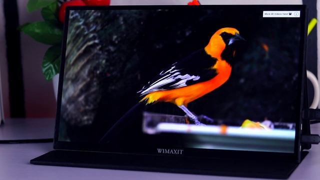 Turn Your Smartphone Into A desktop Computer! WIMAXIT USB C Portable Monitor Review смотреть онлайн
