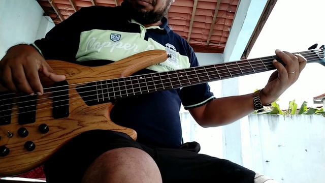 Baixo cort b5 artisan Bartolini смотреть онлайн
