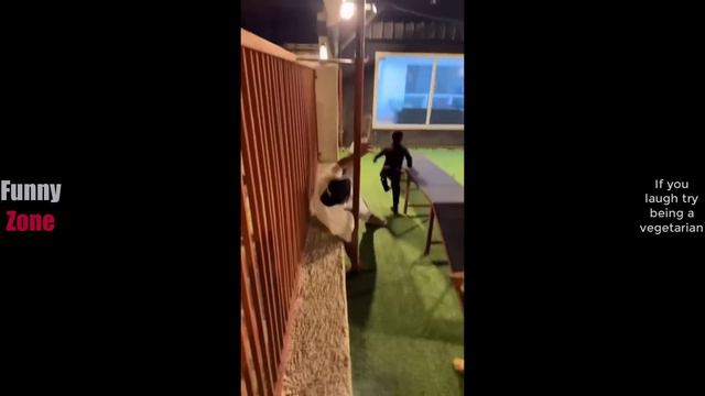 Попробуй не засмеяться №32 - Лучшие Приколы 2024. #шоу #shorts #ютубшортс #смех #приколы #мемы #мем смотреть онлайн