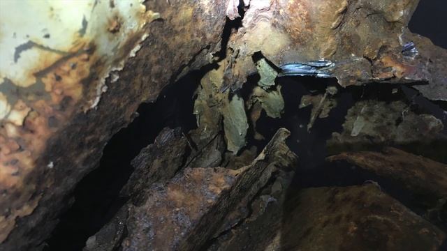 NOMAD mobile studio | VW Bus Restoration part 1 смотреть онлайн