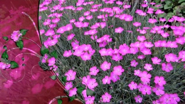 Для тебя! Просто так) смотреть онлайн