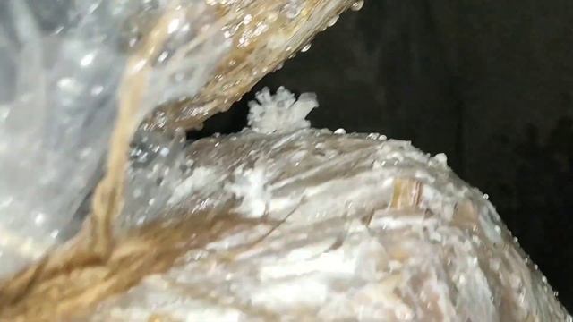 How to grow oyster mushroom at home? ಮನೆಯಲ್ಲಿಯೇ ಅಣಬೆ ಬೆಳೆಸುವುದು ಹೇಗೆ? in Kannada смотреть онлайн