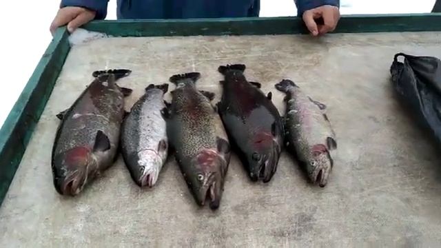 14.03.21 рыбалка Гарантия смотреть онлайн