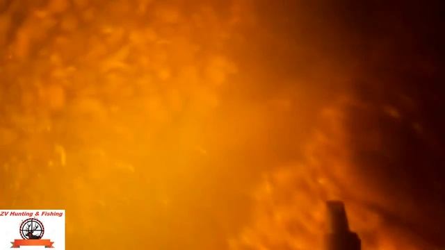 . СОМ ПОД ЛОДКОЙ! Подводная охота на сома смотреть онлайн