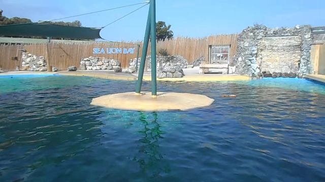 АНГЛИЙСКИЙ ЗООПАРК Banham Zoo смотреть онлайн
