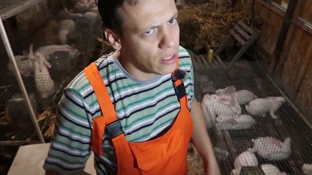 Ошибки при постройке крольчатника | Цена моего крольчатника. Обустройство крольчатника смотреть онлайн