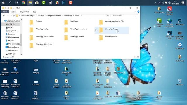 Как быстро перенести видео с WhatsApp телефона на ноутбук смотреть онлайн
