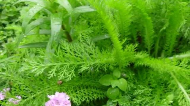 Весна на даче смотреть онлайн