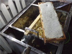 как я несколько лет боролся с роением и оставался без меда, потом ошибку понял - фильм 2