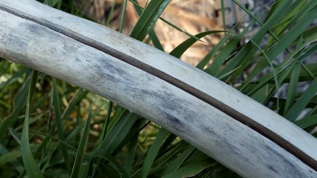 Waterfowl Camo For Hunting Any Season - Realtree Max-5 Pattern Review