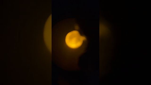 October 8, 2023 смотреть онлайн