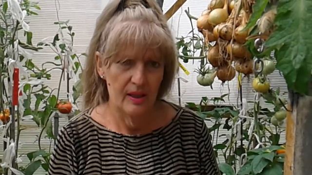 Фасоль , отходы в парник. смотреть онлайн