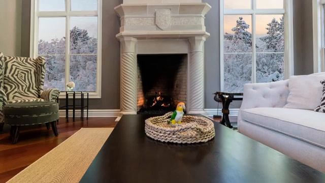 Горящий камин и метель за окном для отдыха и сна. Burning fireplace and snowstorm outside the windo смотреть онлайн