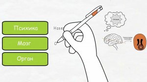 О болезни по-другому_Часть_4 БиоЛОГИЧЕСКИЙ конфликт  #германскаяноваямедицина #докторХамер #законы