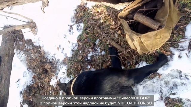 КОП МЕТАЛЛА 2021 С МД-4030 смотреть онлайн